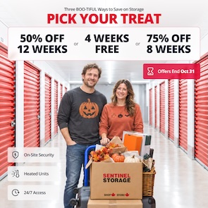Sentinel Storage - Mission Promotion